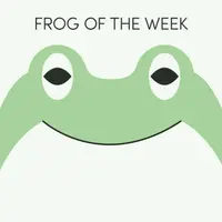 Frog of the Week