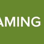 STREAMING ODRP