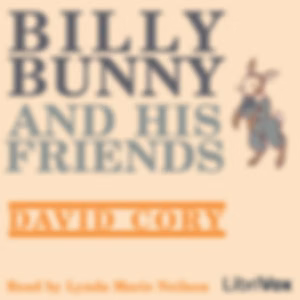 Billy Bunny and His Friends by David Cory (1872 - 1966)