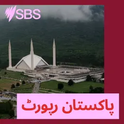 پاکستان رپورٹ: پاکستان کی سعودی عرب پر حوثی باغیوں کے حملے کی مذمت