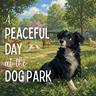 A Peaceful Day at the Dog Park