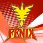 Rádio Fênix 100.5 FM