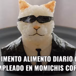 Macaco