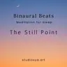 The Still Point No. 8: Return to your rhythm
