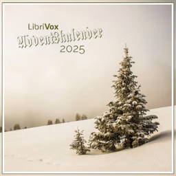 Adventskalender 2025 by Various