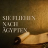 Sie wollen Gottes Antwort, aber nicht seinen Weg | Jeremia 40-43 · Tag 231