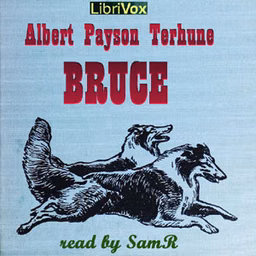 Bruce