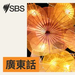Bonus Practice: #112 Keeping kids busy | Surviving school holidays (Med) - 【SBS學英語】重溫112 集:學校假期家長生存攻略