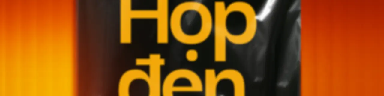 VnExpress Podcasts: Hộp đen