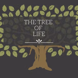 The Third Cord International Ministries