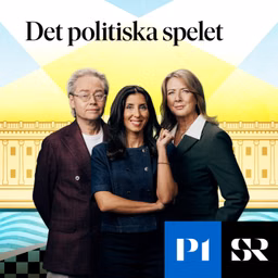 Det politiska spelet