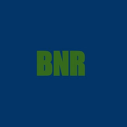 BNR Crime Investigation