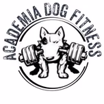 academia dog fitness