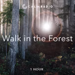 WALK IN THE FOREST