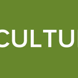 LA CULTURAL