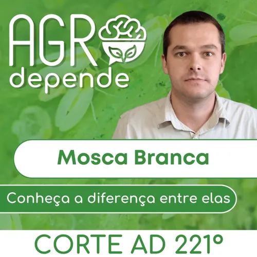 Listen to Mosca Branca, conheça a diferença entre elas | Zeno.FM