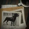 #115 Auf den Hund gekommen