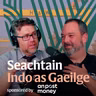 Stair Bhéal Feirste: ‘Stair a mhúnlaigh mo mhuintir’ - Séamus Ó Tuama