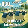 Digitalia #830 - Le pecore fotovoltaiche