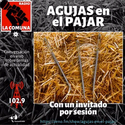 AGUJAS en el PAJAR