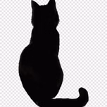 BlackRedCatFm