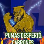 gorkisito