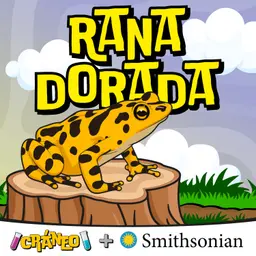 Rana Dorada de Panamá: el animal nacional que desapareció