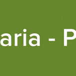 Radio Maria - Paraguay