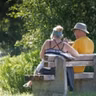 Rencontre en forêt de Fontainebleau : un homme assis sur un banc