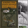 The Playful Muskrats