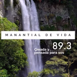 Manantial de Vida 893