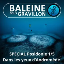 SPÉCIAL Posidonie 1/5 (prologue) : Dans les yeux d'Andromède (Laurent Ballesta, Pierre Descamp)