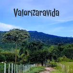 Valorizaravida