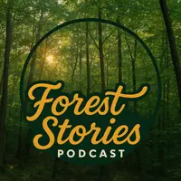Arroe Collins Forest Stories