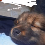 Gnoguehh