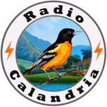Radio Calandria