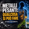 METALLI PESANTI: QUALCOSA SI PUÒ FARE - VITTORIO FACCHINETTI