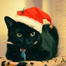 Meowrry Kittymas