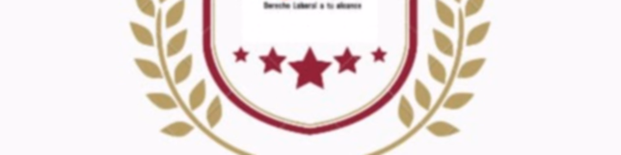 Academia Laboral