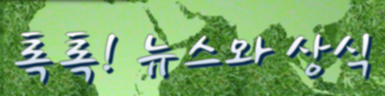톡톡! 뉴스와 상식