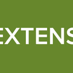 RADIO EXTENSION FM