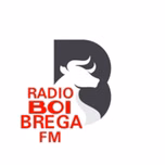 Radio Boi Brega FM