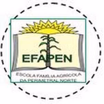 RADIO EFAPEN NO ar