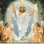 Evangeliza vida