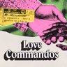 Hold the Sitar: The Making of the Love Commandos Theme Song