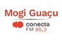 Rádio Conecta 95.3 FM