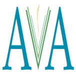 AVA ORGANIZACIÓN