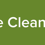 The Cleaners