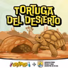 Tortuga del Desierto: sobrevivir en el desierto más caliente de América