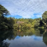 朝ラン27℃。台風の爪痕残る井の頭公園と今どきのチャイルドシートと佐川さんからの手紙と嫁。#1990 from Radiotalk